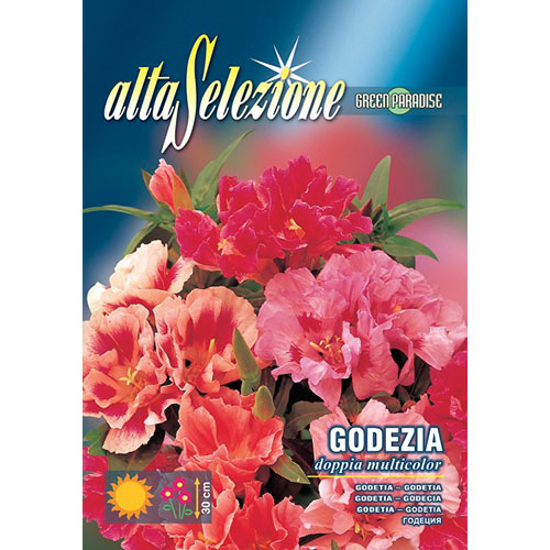 Azalee de gradină dublă, mix multicolor imagine 1 articol 87301