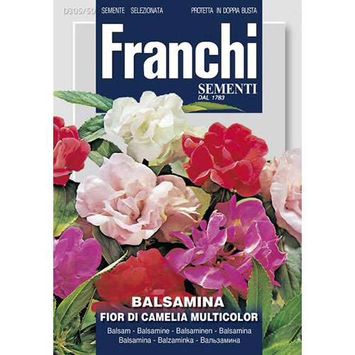Balsamină cu flori de camelie, mix multicolor imagine 1 articol 87302