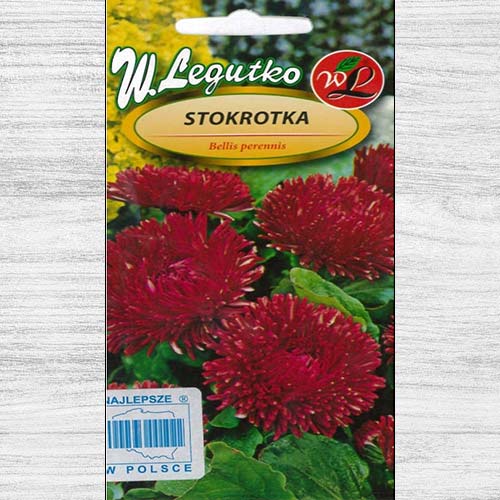 Bănuței roșii cu flori mari Legutko imagine 1 articol 78616