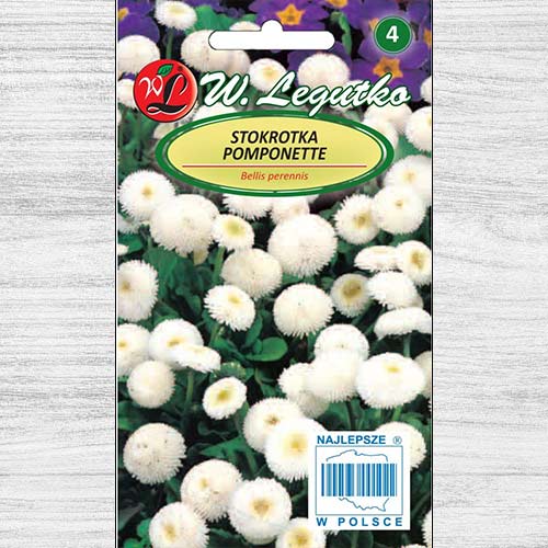 Bănuței albi Pomponette Legutko imagine 1 articol 78617