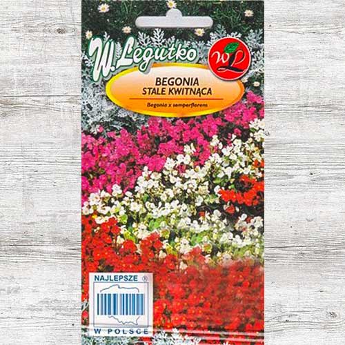 Begonia stale kwitnąca niska Prima F1 dwubarwna interface.image 1 interface.art 86780