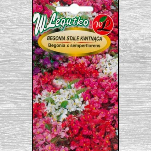 Begonie Gloria F1, mix multicolor Legutko imagine 1 articol 86801