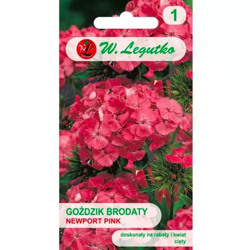 Брадат карамфил Newport Pink Legutko изображение 1 артикул 78602