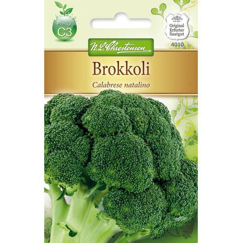 Broccoli Calabrese natalino imagine 1 articol 78713