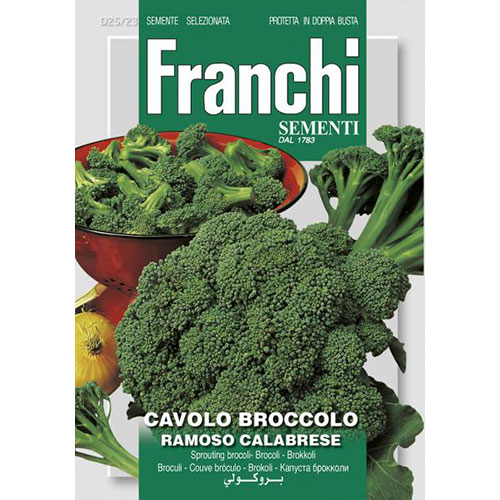 Broccoli Ramoso Calabrese imagine 1 articol 87140