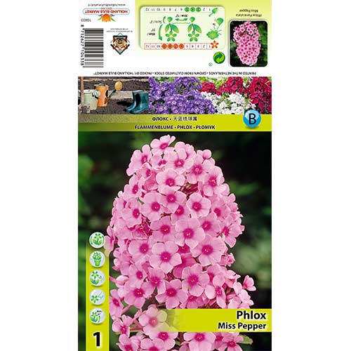 Brumărele de grădină Miss Pepper imagine 1 articol 70446