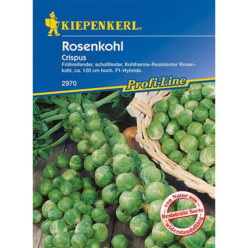 Брюкселско зеле Crispus, F1 изображение 1 артикул 96658