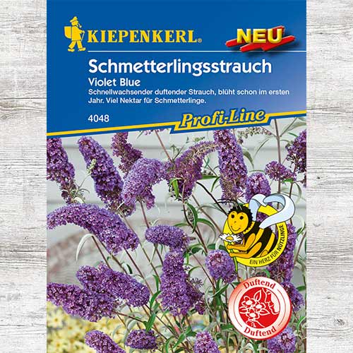 Budleja Davida Violet Blue interface.image 1 interface.art 86307