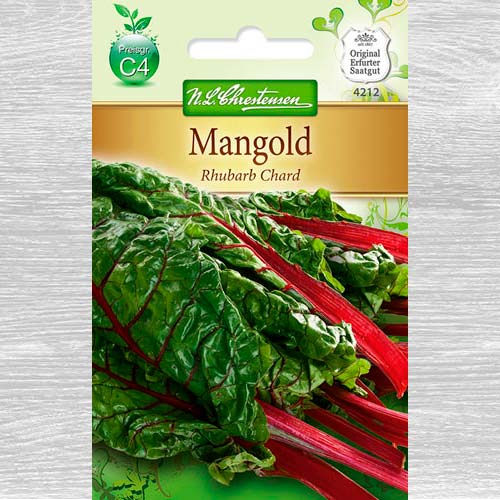 Burak liściowy Rhubarb Chard interface.image 1 interface.art 77602