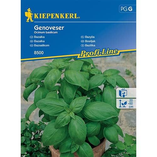 Busuioc cu frunze late imagine 1 articol 96592