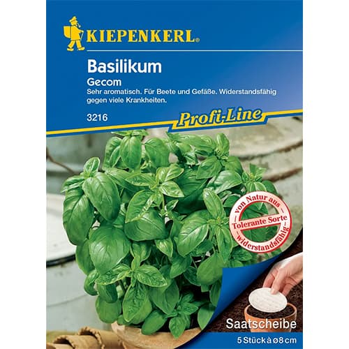 Busuioc Gecom imagine 1 articol 86380