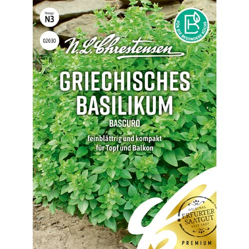 Busuioc grecesc Bascuro imagine 1 articol 86005