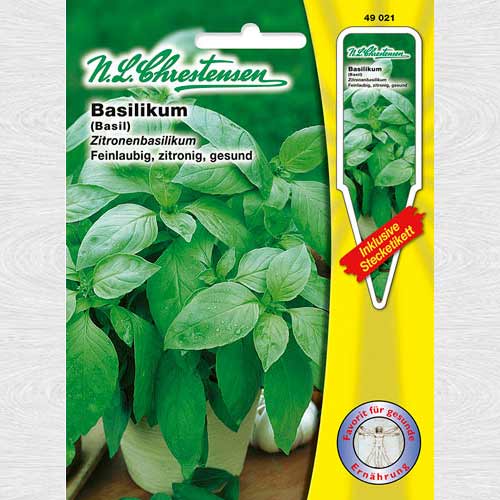 Busuioc lămâios (Chrestensen) imagine 1 articol 69217