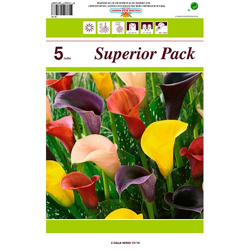 Cală mix multicolor imagine 1 articol 76396