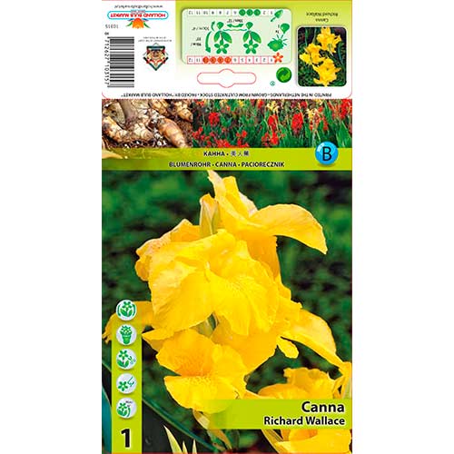 Canna Richard Wallace imagine 1 articol 70366