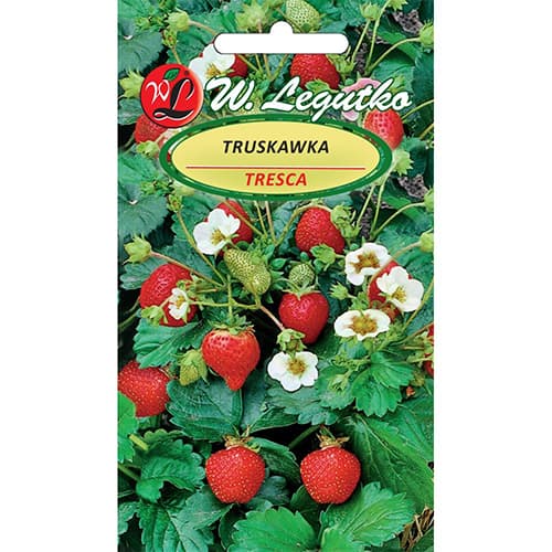 Căpșuni Tresca imagine 1 articol 86914