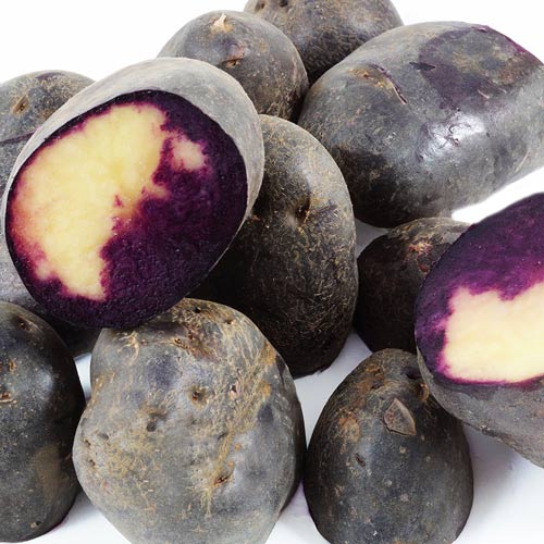 Cartofi de sămânță Double Fun imagine 1 articol 7894