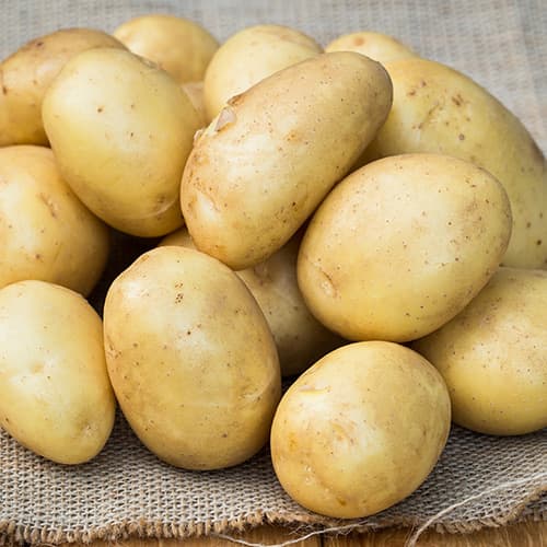 Cartofi de sămânță Madeira imagine 1 articol 5682