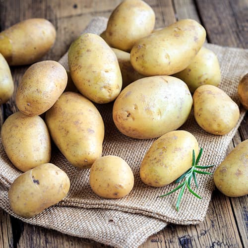 Cartofi de sămânță Marabel imagine 1 articol 5683