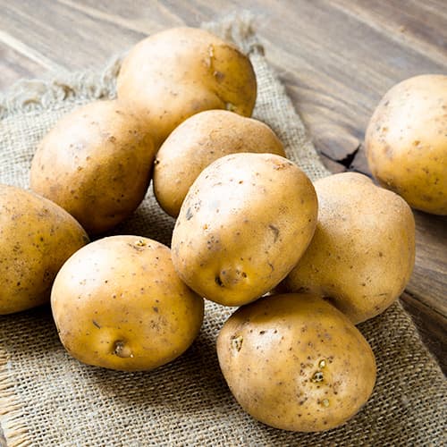 Cartofi de sămânță Primabelle imagine 1 articol 4828