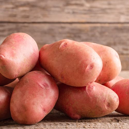 Cartofi de sămânță Sanibel imagine 1 articol 5688