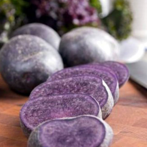 Cartofi Blue Congo imagine 1 articol 7801