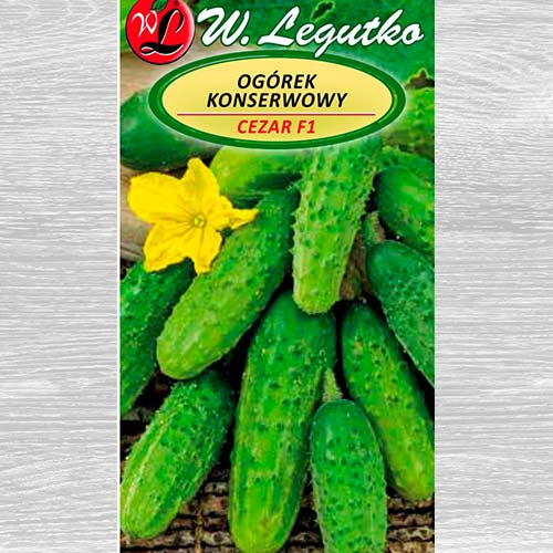 Castraveți Cezar F1 imagine 1 articol 69499