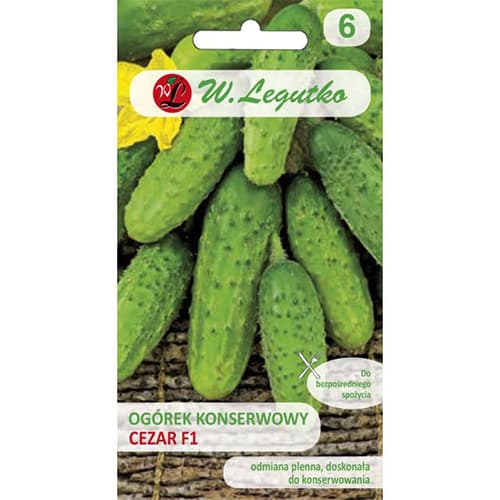 Castraveți Cezar F1 imagine 1 articol 86874