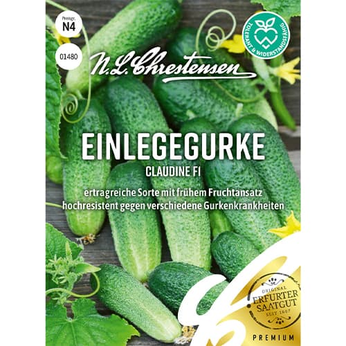 Castraveți Claudine F1 imagine 1 articol 86034