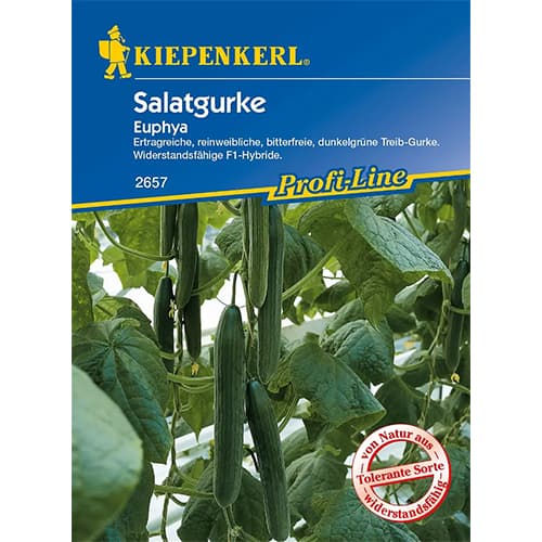 Castraveți de salată Euphya F1 imagine 1 articol 86521