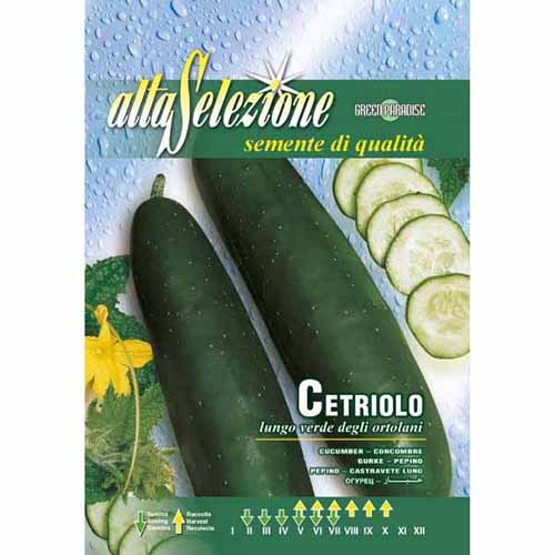 Castraveți Lungo verde degli ortolani imagine 1 articol 96375