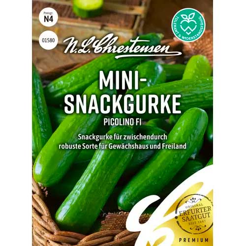 Castraveți Picolino F1 Chrestensen imagine 1 articol 50051