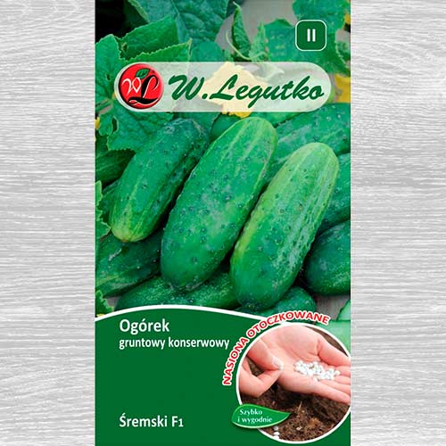 Castraveți Sremski F1 imagine 1 articol 69434