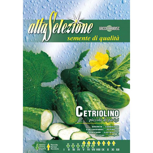 Castraveți Piccolo di Parigi imagine 1 articol 87145