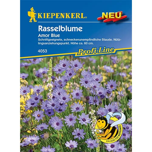 Catananche Amor Blue imagine 1 articol 87757