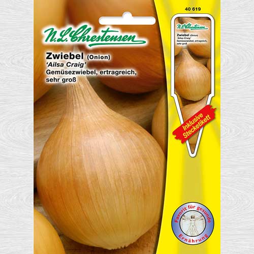 Ceapă Ailsa Craig (Chrestensen) imagine 1 articol 69227