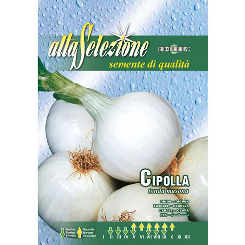 Ceapă albă Tonda Musona imagine 1 articol 87146