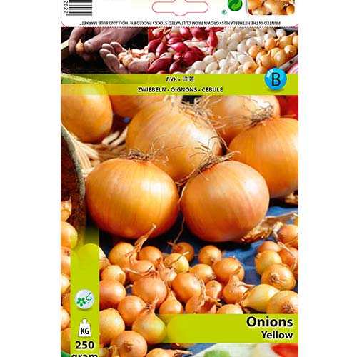 Ceapă galbenă imagine 1 articol 70496