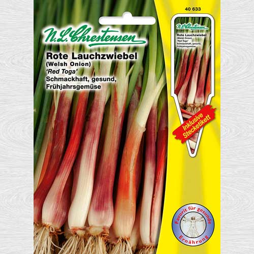 Ceapă roșie Red Toga imagine 1 articol 69169