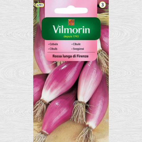 Ceapa rosie Rossa lunga di Firenze imagine 1 articol 69729