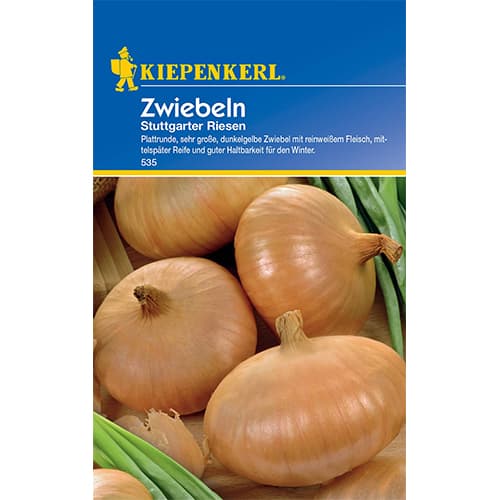 Cebula zolta Stuttgarter Riesen interface.image 1 interface.art 50077