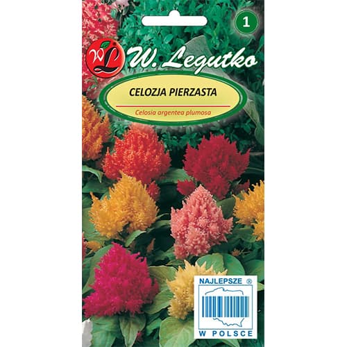 Celosia (Creasta cocoșului), mix multicolor imagine 1 articol 78535