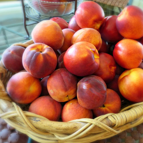 Нектарина Orion изображение 1 артикул 7983