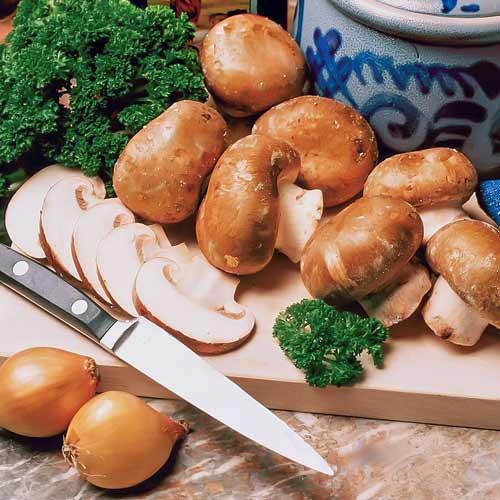 Champignon Brun imagine 1 articol 9743