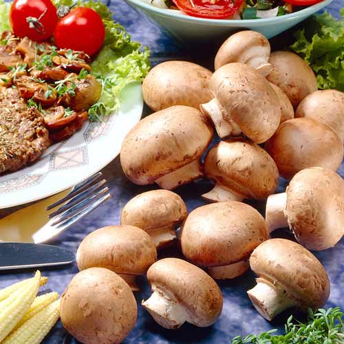 Champignon Brun imagine 2 articol 9743