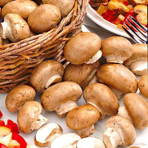 Champignon Brun imagine 3 articol 9743