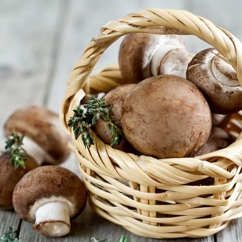 Champignon Portobello imagine 1 articol 9754