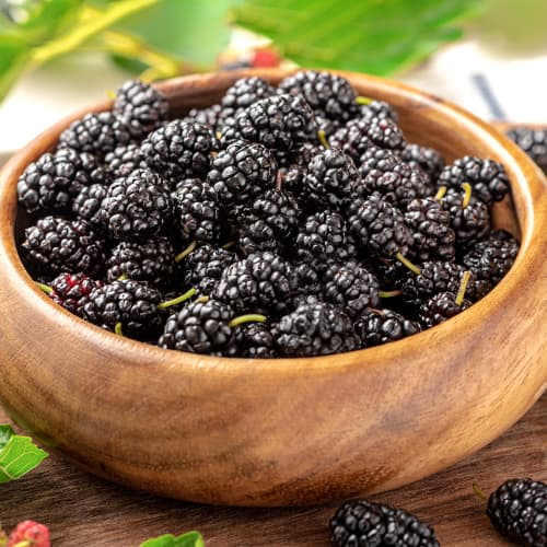 Черница черна, P9 изображение 1 артикул 5859