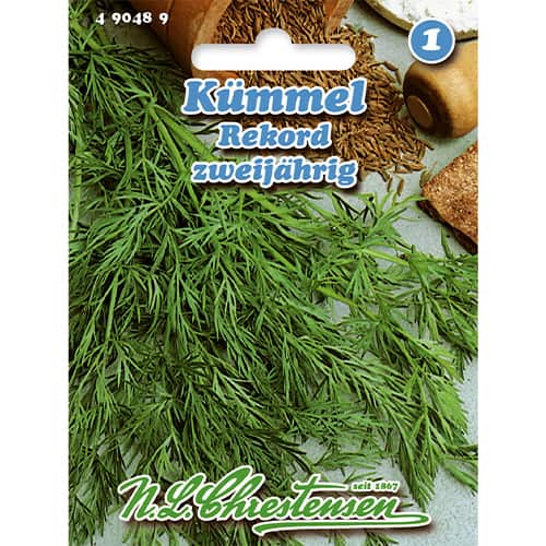 Chimen bienal Rekord imagine 1 articol 86008