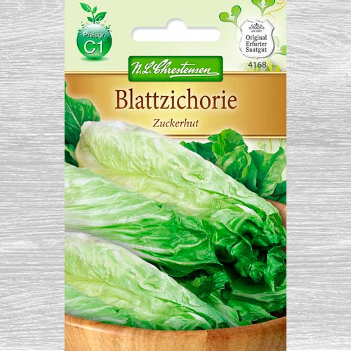 Cicoare albă (radicchio) Zuckerhut imagine 1 articol 78760